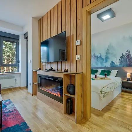 Apartment Maska